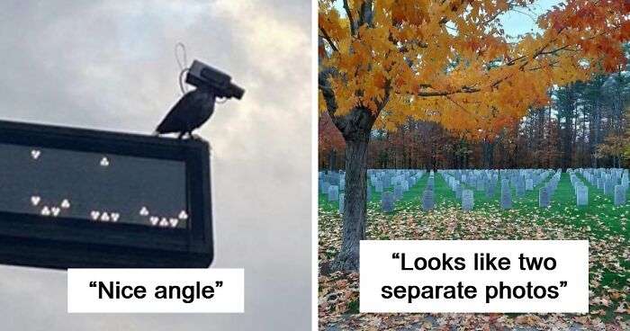 115 Misleading And Confusing Photos That Seem Like A Glitch In Real Life (New Pics)