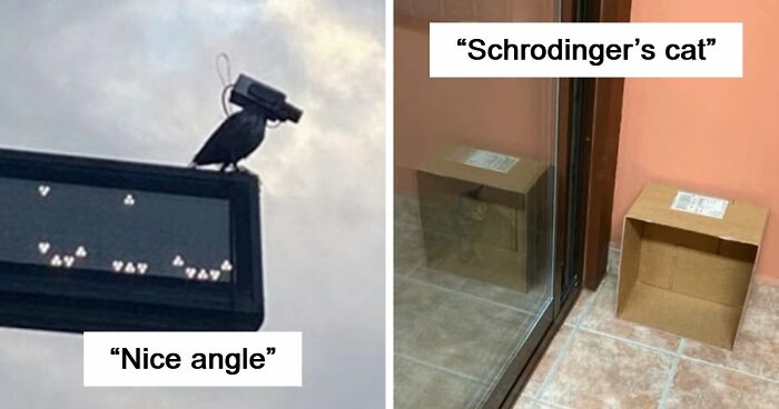 115 Misleading And Confusing Photos That Seem Like A Glitch In Real Life (New Pics)