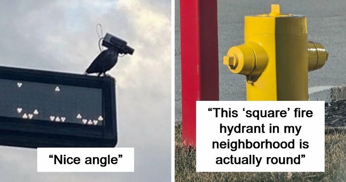 115 Misleading And Confusing Photos That Seem Like A Glitch In Real Life (New Pics)