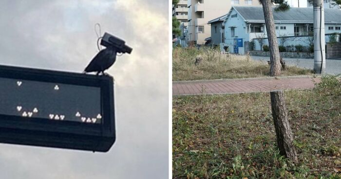 115 Misleading And Confusing Photos That Seem Like A Glitch In Real Life (New Pics)