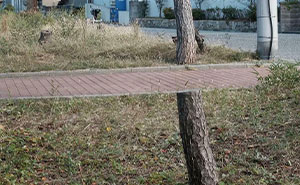 These 115 Photos Show How Much Perspective Can Change What You See (New Pics)