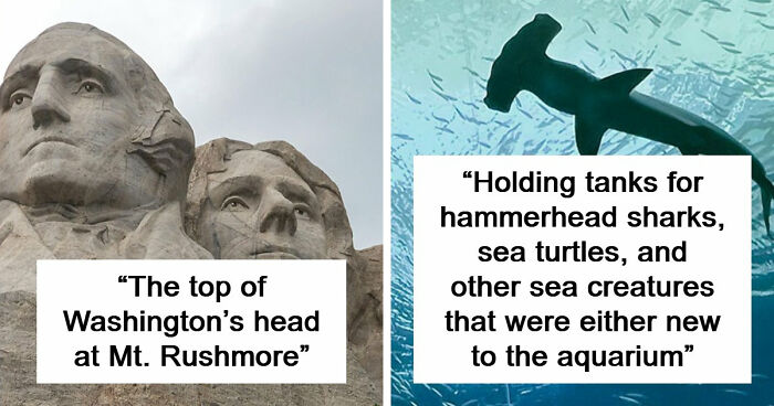 79 Times People Got Exclusive Access To Places And Couldn’t Believe Their Luck