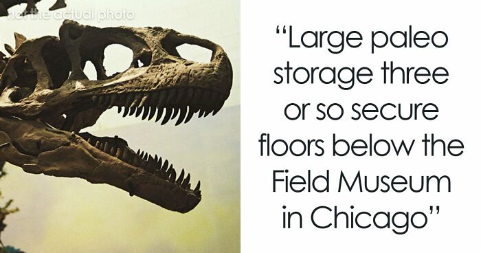 79 Times People Got Exclusive Access To Places And Couldn’t Believe Their Luck