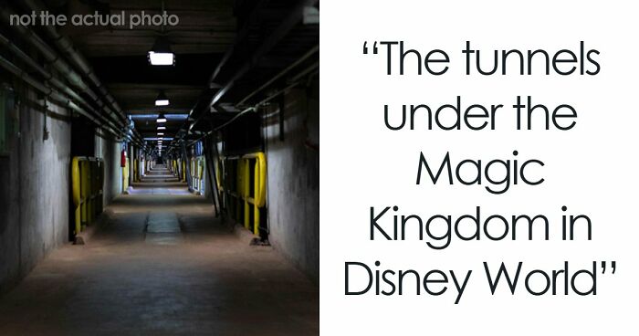 79 Times People Got Exclusive Access To Places And Couldn’t Believe Their Luck