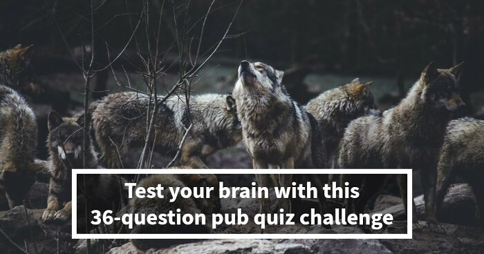 Test Every Corner Of Your Brain With This 36-Question Pub Trivia Quiz