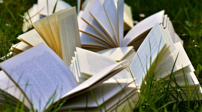 Open books scattered across green grass, symbolizing a wealth of general knowledge and questions.