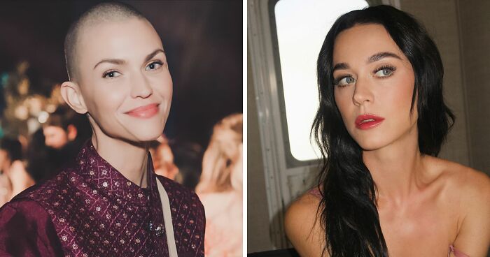 The Best Of Ryan Rds: 70 Top-Upvoted Comics Loved By Our Community