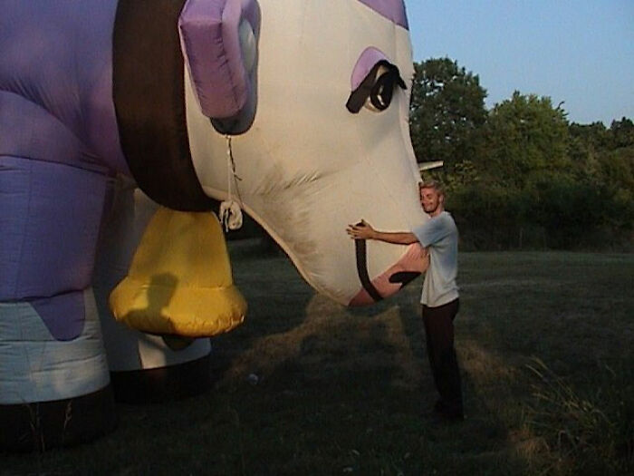 A man hugging a giant inflatable purple and white cow with a gold bell, perhaps linked to family crimes.