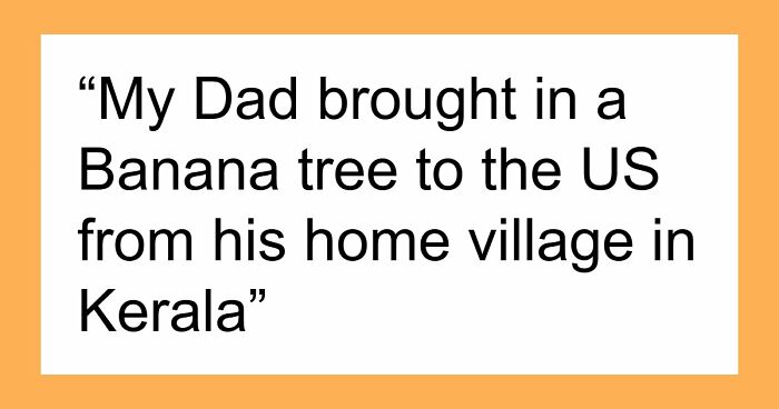 79 People Are Revealing The Most Unhinged Crimes Their Families Ever Committed