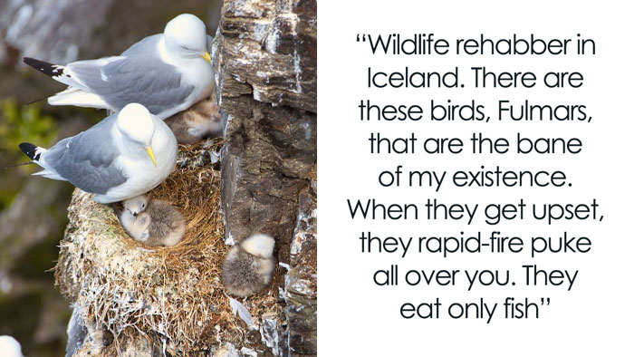 54 Wild Times Employees Said ‘I Need To Quit This Job Immediately’ And Left Work For Good