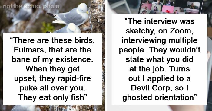 54 Wild Times Employees Said ‘I Need To Quit This Job Immediately’ And Left Work For Good