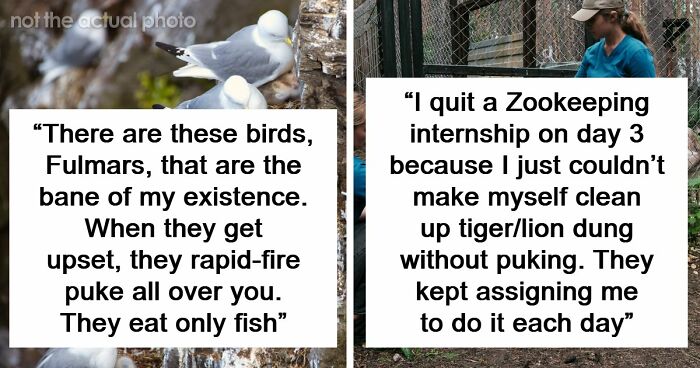 54 Wild Times Employees Said ‘I Need To Quit This Job Immediately’ And Left Work For Good