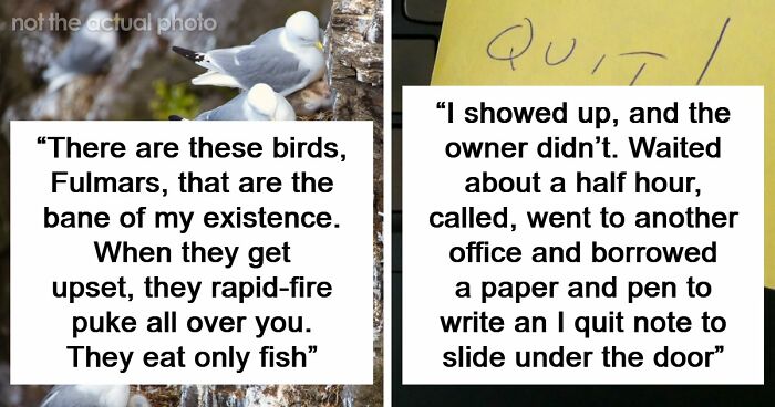 54 Wild Times Employees Said ‘I Need To Quit This Job Immediately’ And Left Work For Good