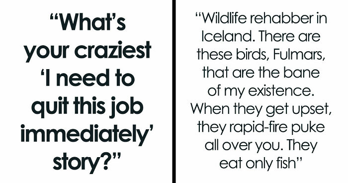 54 Wild Times Employees Said ‘I Need To Quit This Job Immediately’ And Left Work For Good