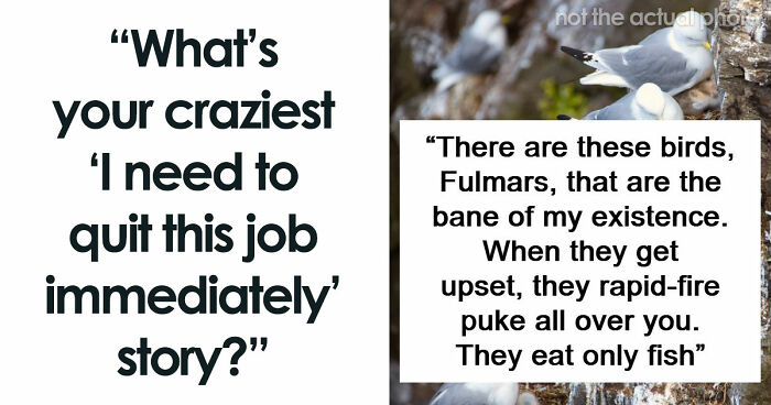 54 Wild Times Employees Said ‘I Need To Quit This Job Immediately’ And Left Work For Good
