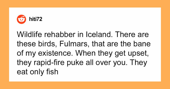 54 Wild Times Employees Said ‘I Need To Quit This Job Immediately’ And Left Work For Good