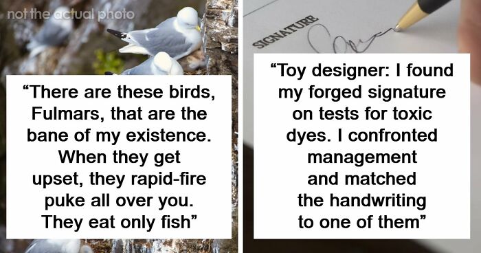 54 Wild Times Employees Said ‘I Need To Quit This Job Immediately’ And Left Work For Good