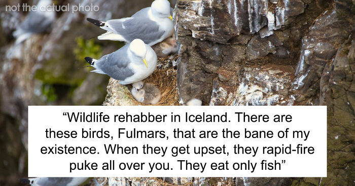 54 Wild Times Employees Said ‘I Need To Quit This Job Immediately’ And Left Work For Good