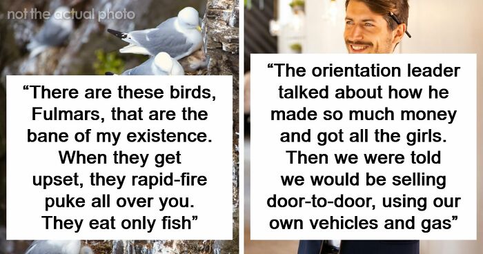 54 Wild Times Employees Said ‘I Need To Quit This Job Immediately’ And Left Work For Good