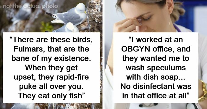 54 Wild Times Employees Said ‘I Need To Quit This Job Immediately’ And Left Work For Good