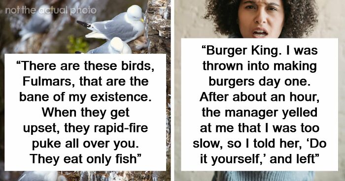 54 Wild Times Employees Said ‘I Need To Quit This Job Immediately’ And Left Work For Good