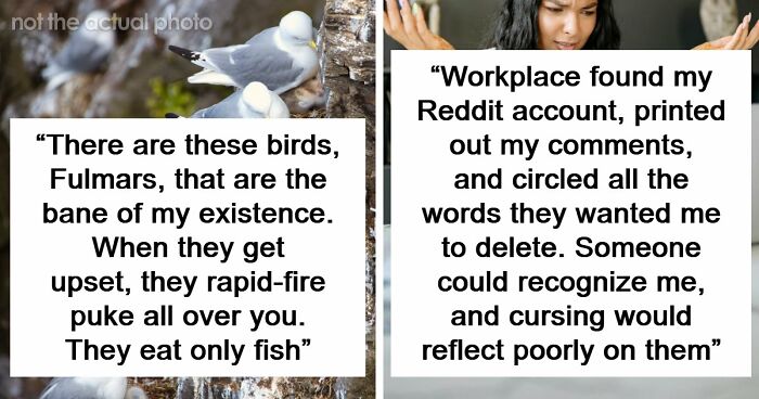 54 Wild Times Employees Said ‘I Need To Quit This Job Immediately’ And Left Work For Good