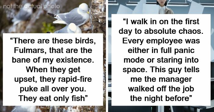 54 Wild Times Employees Said ‘I Need To Quit This Job Immediately’ And Left Work For Good
