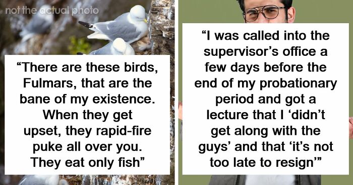 54 Wild Times Employees Said ‘I Need To Quit This Job Immediately’ And Left Work For Good