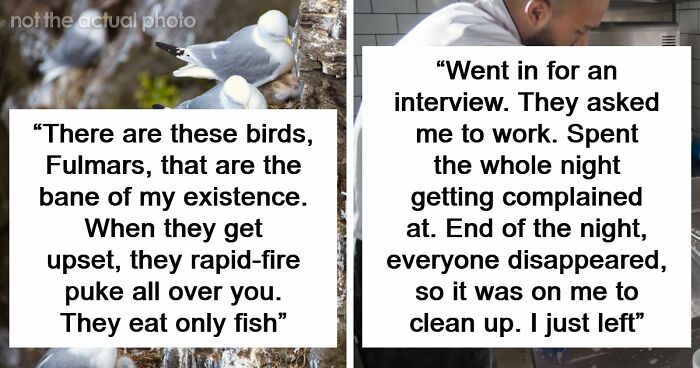 54 Wild Times Employees Said ‘I Need To Quit This Job Immediately’ And Left Work For Good