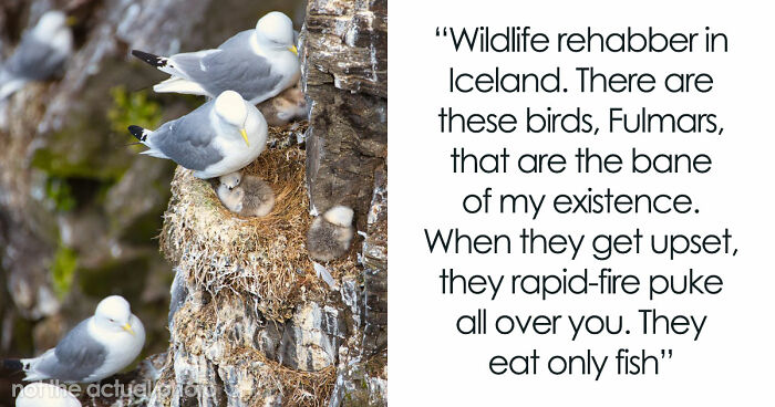 54 Wild Times Employees Said ‘I Need To Quit This Job Immediately’ And Left Work For Good