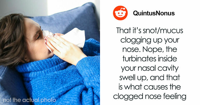 People Debunk 45 Health Myths They Wish You’d Stop Believing