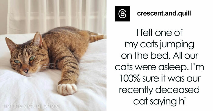 “They Thought I Was Crazy”: 77 Creepy Incidents That Made People Believe In The Paranormal