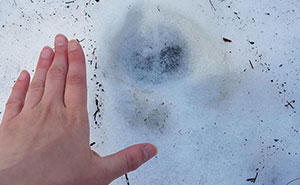 37 Famous And Personal Stories People Don’t Have An Explanation For And It Creeps Them Out