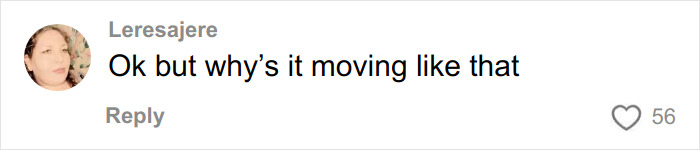 A social media comment from user Leresajere asking about the figure lurking in the DC woman's back alley.