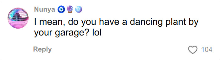 A social media comment by Nunyq, with a disco ball icon, asking about a dancing plant near a garage, relating to the figure lurking.