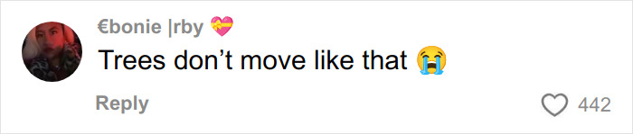 A social media comment from Ebonie Irby, with a pink heart, states, Trees don't move like that, with a crying emoji. This relates to the face lurking in the alley.