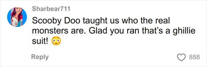 A Reddit comment from Sharbear711 about the figure lurking in a DC woman's back alley, likening it to a ghillie suit.