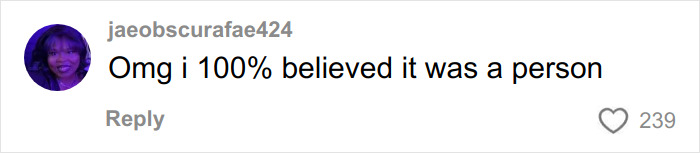 A user comment reads, "Omg i 100% believed it was a person." The comment relates to the figure lurking in the alley.
