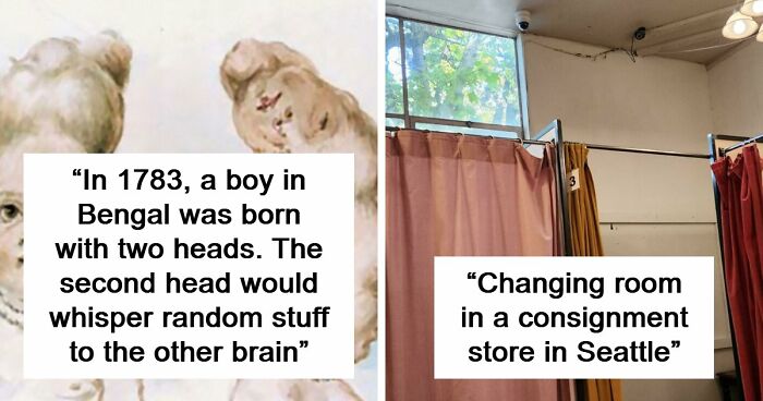 “Hair Of Kids I Babysit”: 81 Creepy Images You Should View At Your Own Risk (New Pics)