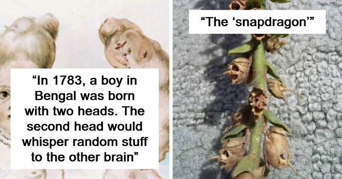 “Hair Of Kids I Babysit”: 81 Creepy Images You Should View At Your Own Risk (New Pics)