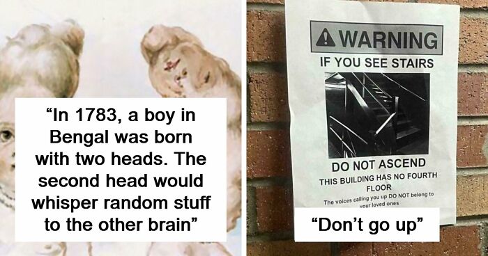 “Hair Of Kids I Babysit”: 81 Creepy Images You Should View At Your Own Risk (New Pics)