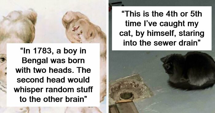 “Hair Of Kids I Babysit”: 81 Creepy Images You Should View At Your Own Risk (New Pics)