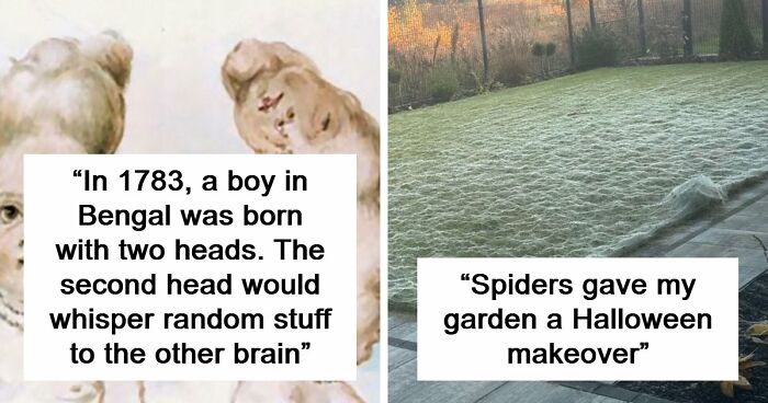 “Hair Of Kids I Babysit”: 81 Creepy Images You Should View At Your Own Risk (New Pics)