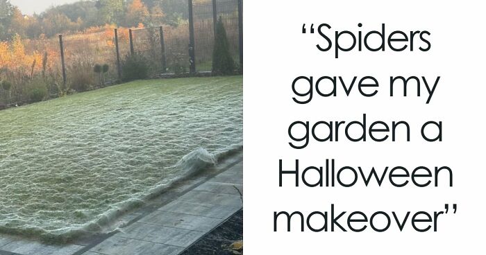 “Hair Of Kids I Babysit”: 81 Creepy Images You Should View At Your Own Risk (New Pics)