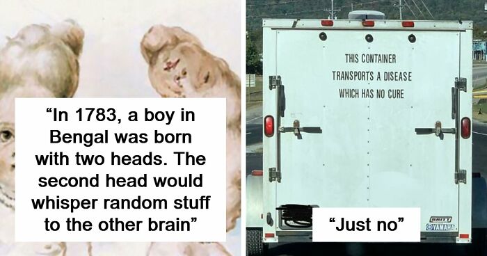 “Hair Of Kids I Babysit”: 81 Creepy Images You Should View At Your Own Risk (New Pics)