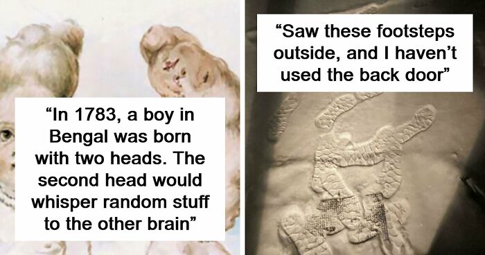 “Hair Of Kids I Babysit”: 81 Creepy Images You Should View At Your Own Risk (New Pics)