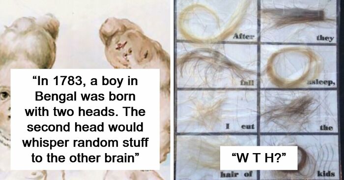 “Hair Of Kids I Babysit”: 81 Creepy Images You Should View At Your Own Risk (New Pics)