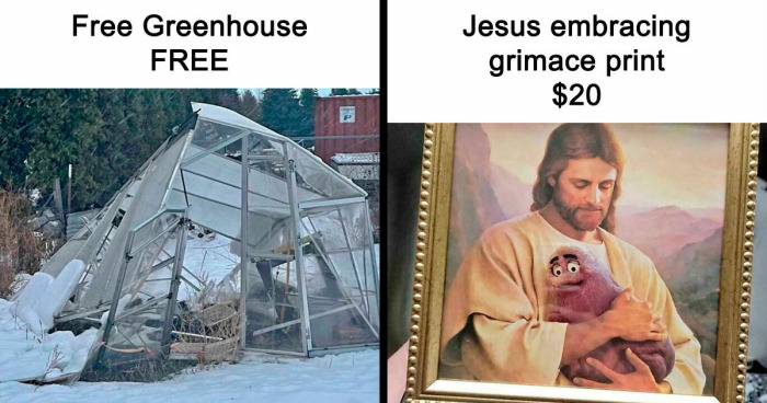 People Are Selling The Most Bizarre Things Online And Here Are 85 Listings That Are Just Wild