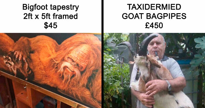 People Are Selling The Most Bizarre Things Online And Here Are 85 Listings That Are Just Wild