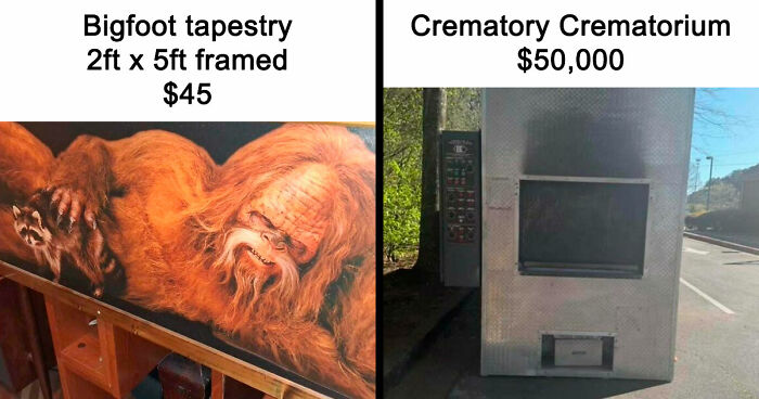 People Are Selling The Most Bizarre Things Online And Here Are 85 Listings That Are Just Wild